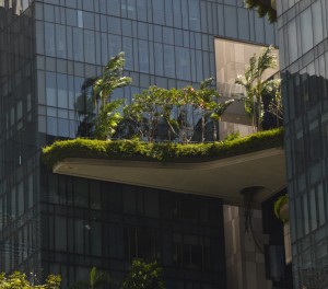 gröna balkonger med träd och buskar i stadsbilden